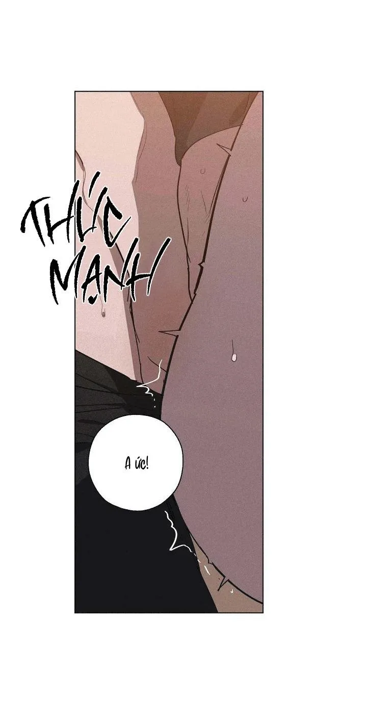 Tráo Đổi Chapter 46 Trang 8