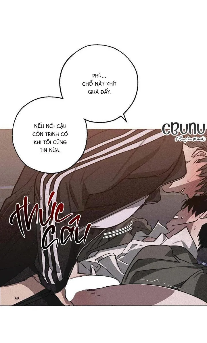 Tráo Đổi Chapter 46 Trang 28