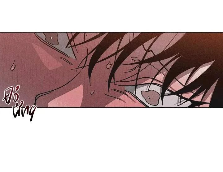 Tráo Đổi Chapter 46 Trang 41