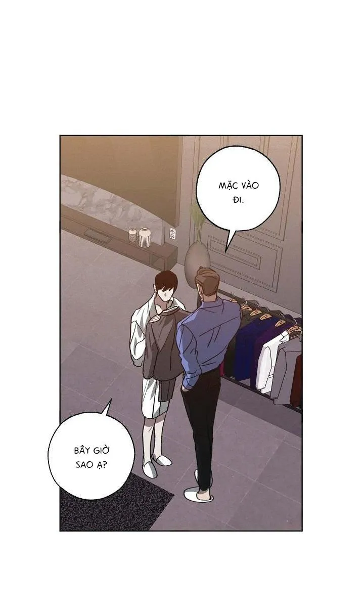 Tráo Đổi Chapter 47 Trang 6