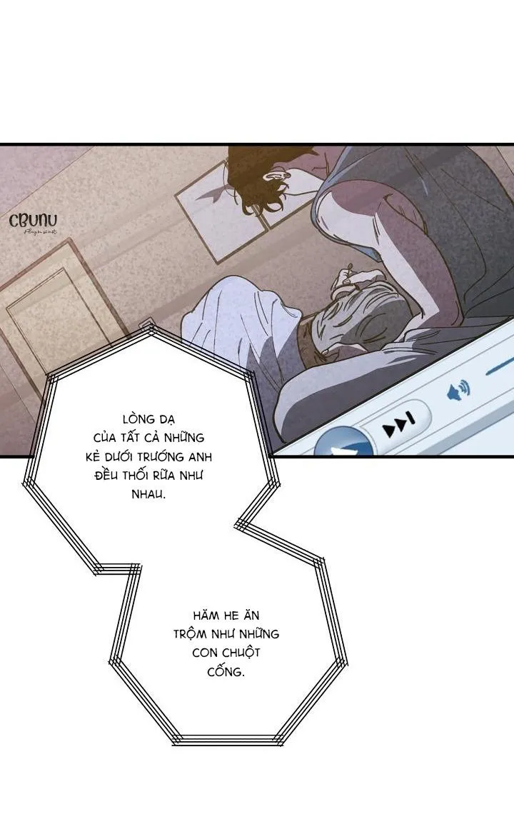 Tráo Đổi Chapter 52 Trang 12