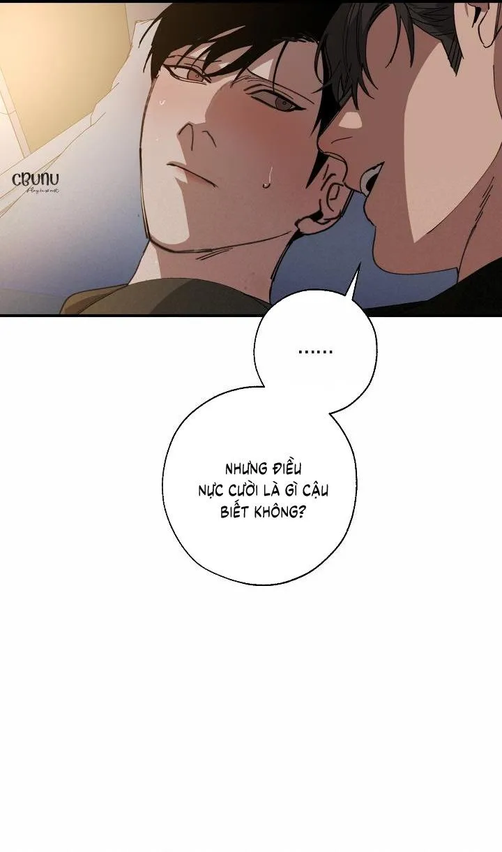 Tráo Đổi Chapter 70 Trang 11