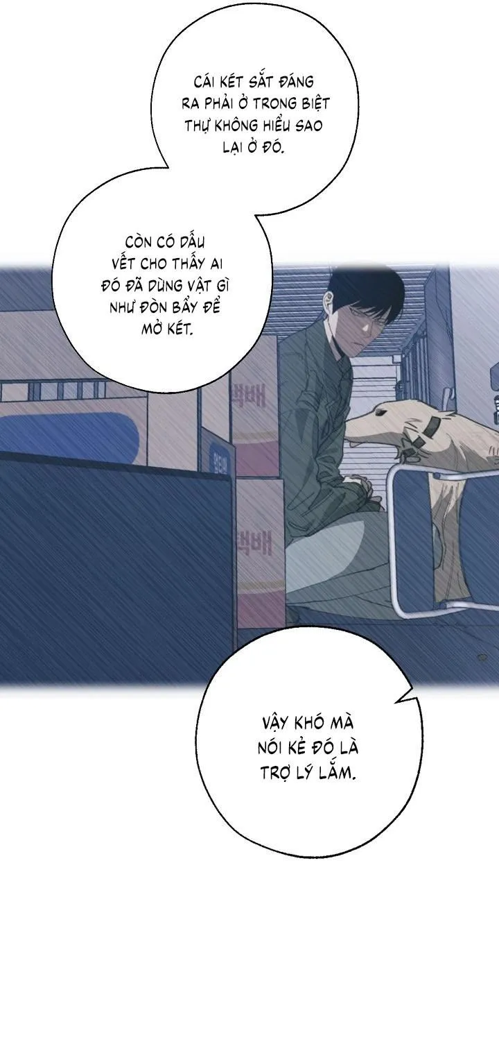 Tráo Đổi Chapter 72 Trang 12