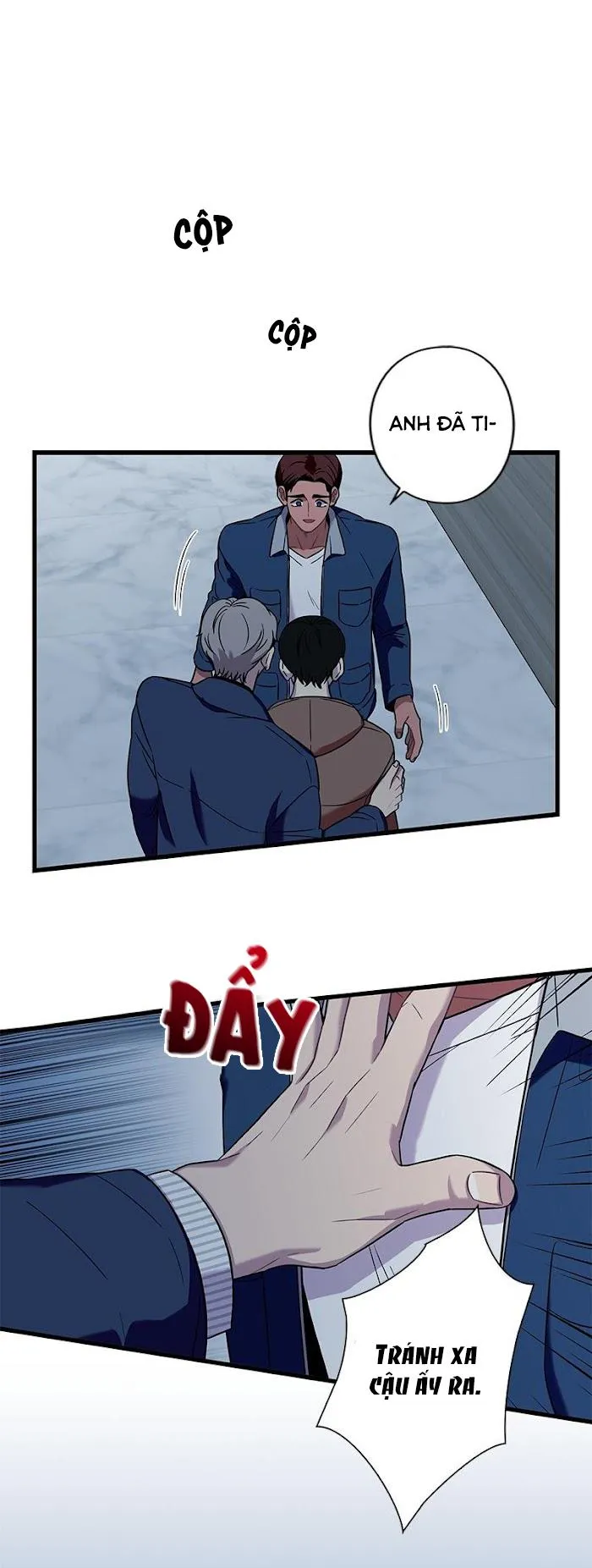 Trap Trap Chapter 19 Trang 5