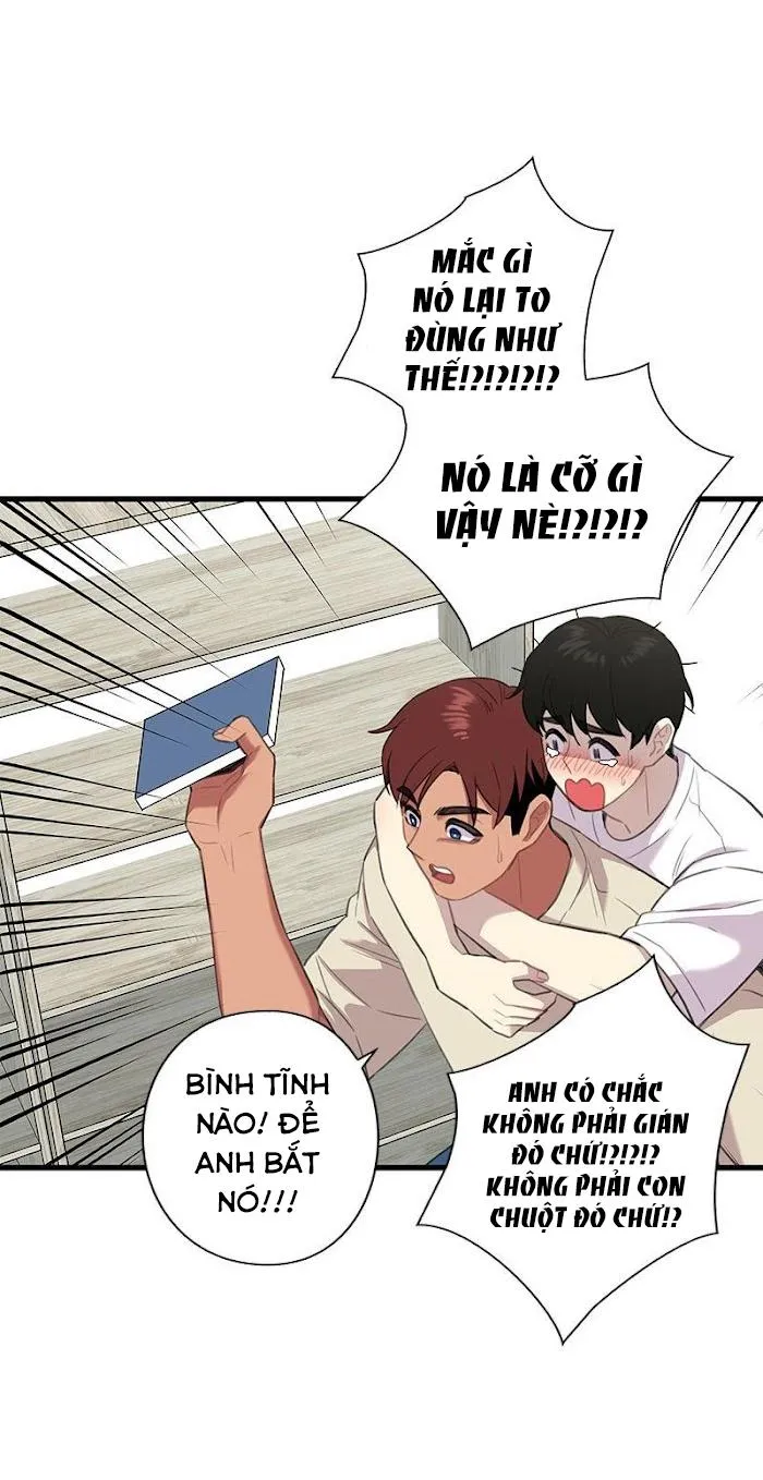 Trap Trap Chapter 27 Trang 31