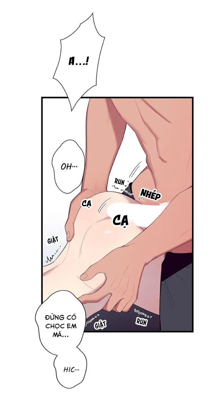 Trap Trap Chapter 29 Trang 11