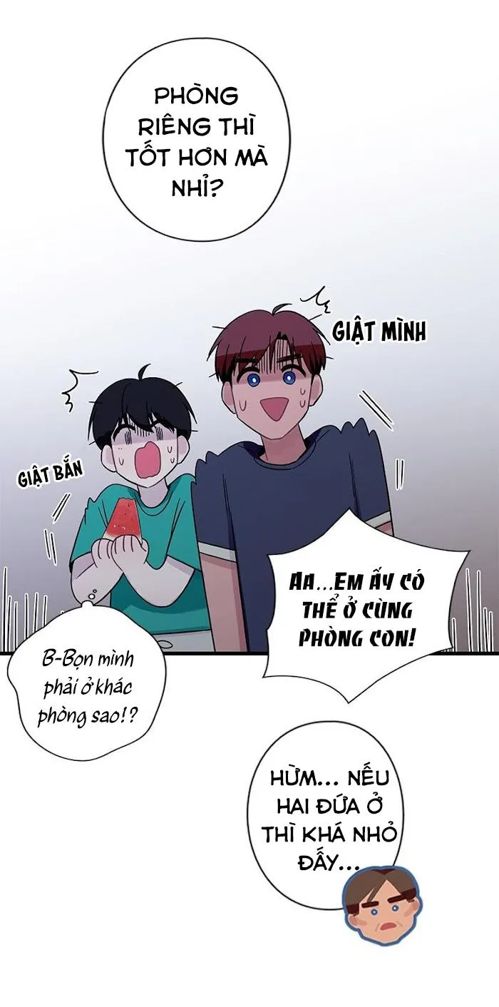 Trap Trap Chapter 31 Trang 3