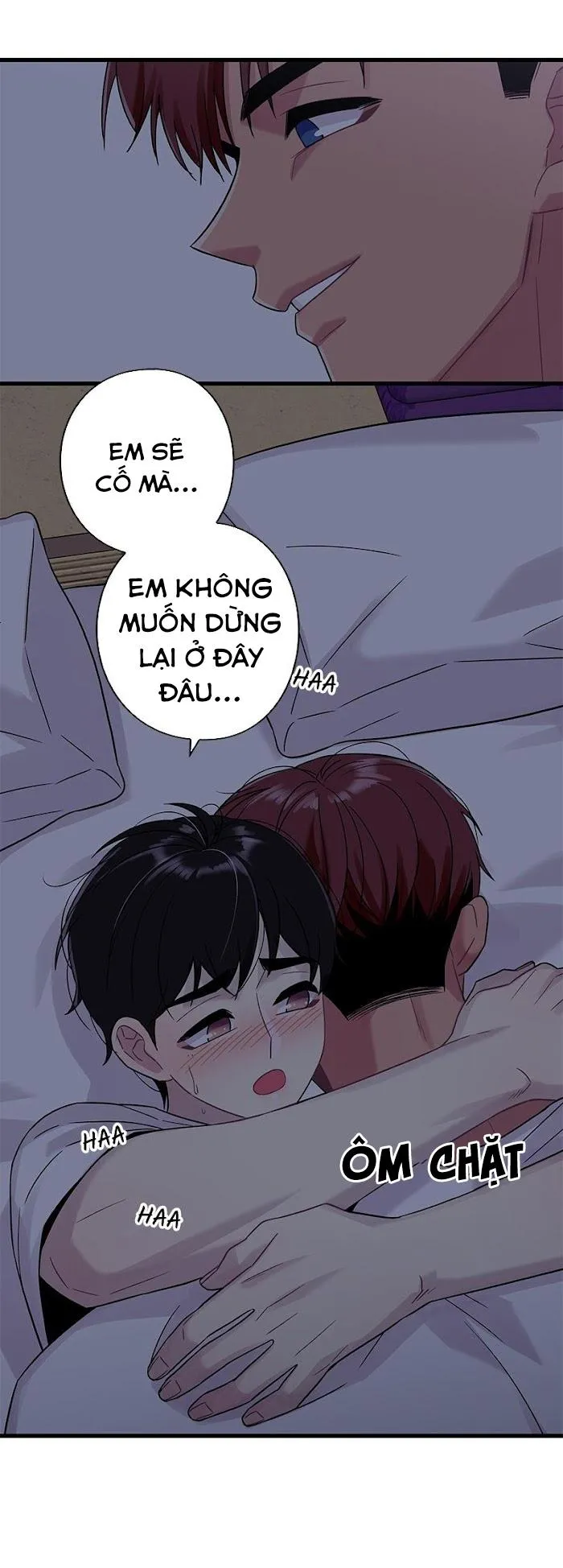 Trap Trap Chapter 31 Trang 24