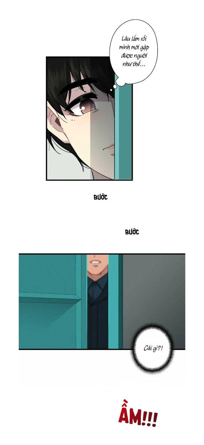 Trap Trap Chapter 1 Trang 27