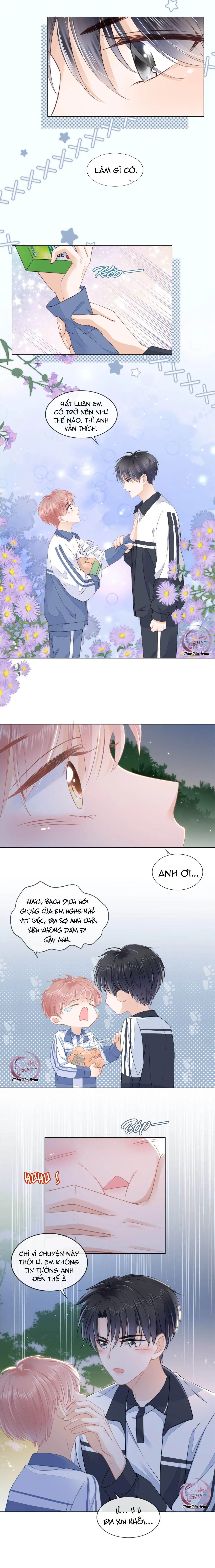 Tri Bỉ (END) Chapter 11 Trang 3