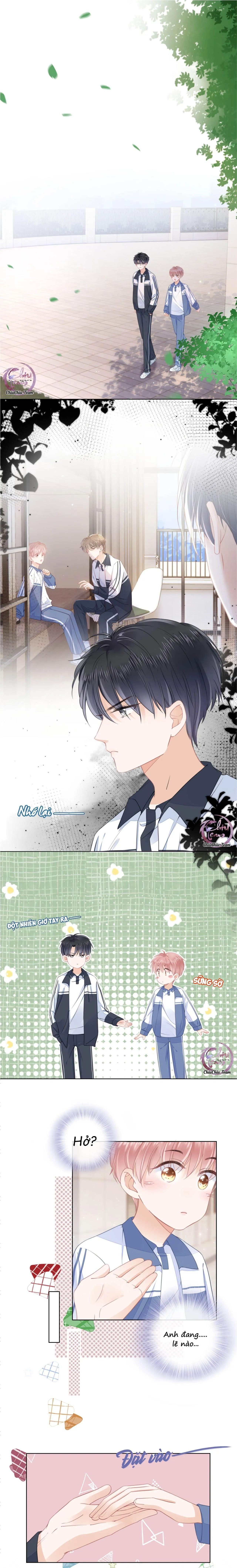 Tri Bỉ (END) Chapter 12 Trang 4