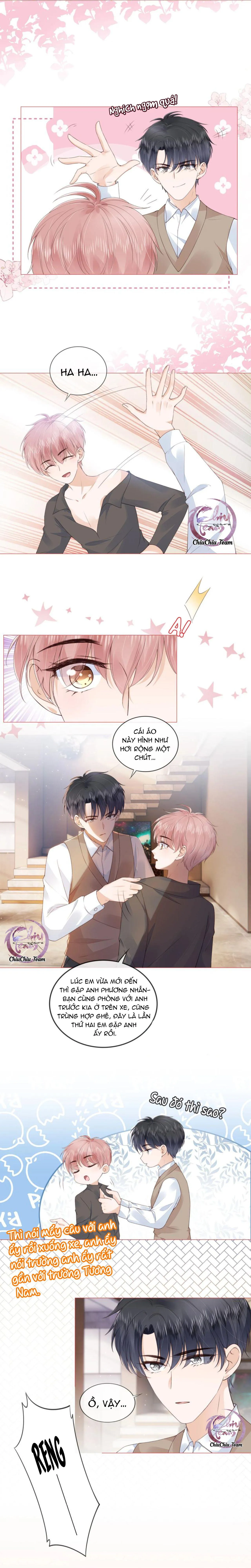 Tri Bỉ (END) Chapter 31 Trang 4