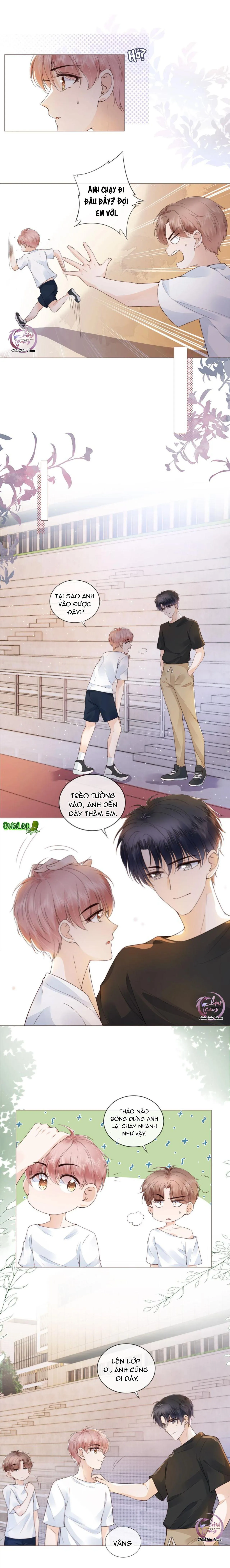 Tri Bỉ (END) Chapter 36 Trang 4