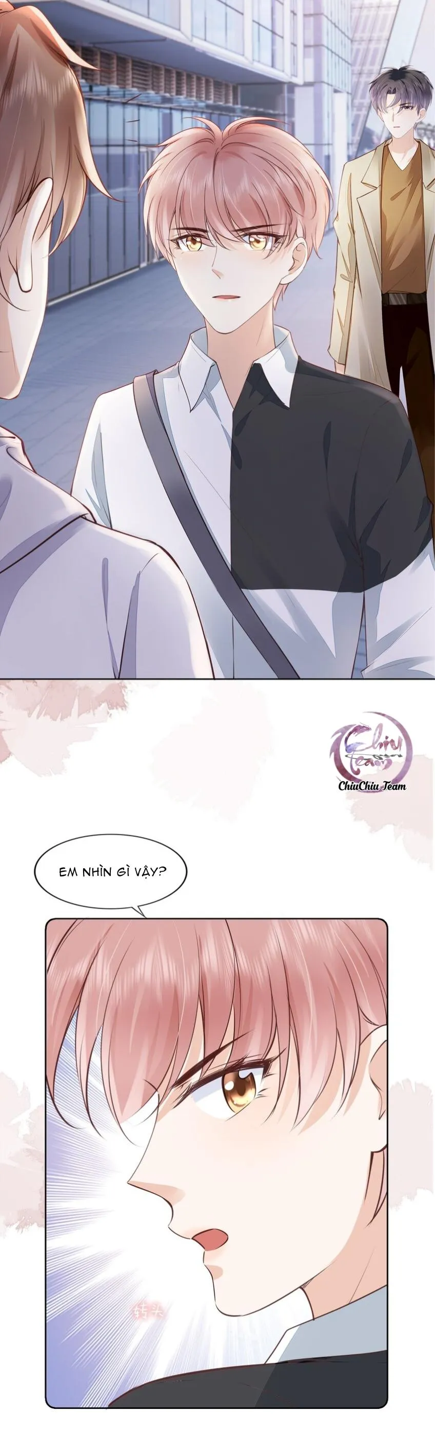 Tri Bỉ (END) Chapter 55 Trang 11