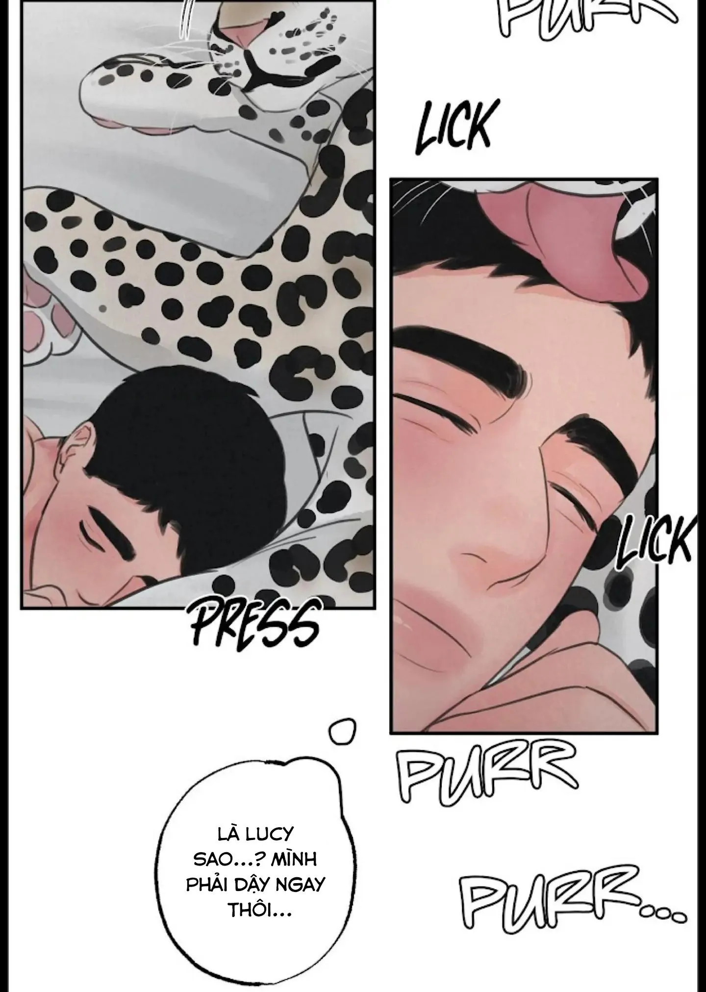 TRÒ CHƠI SĂN MỒI Chapter 9 Trang 3