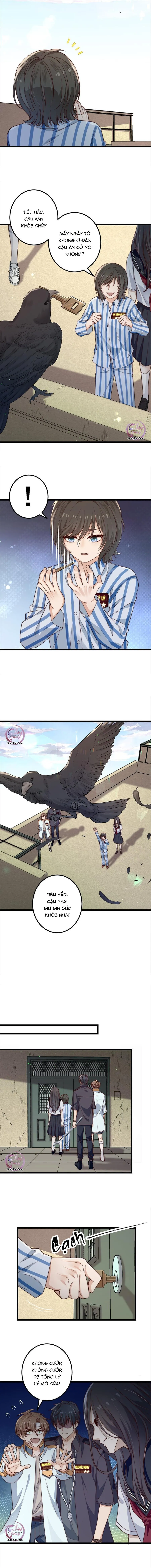 Trò Chơi Sinh Tồn(Tạm drop) Chapter 41 Trang 3