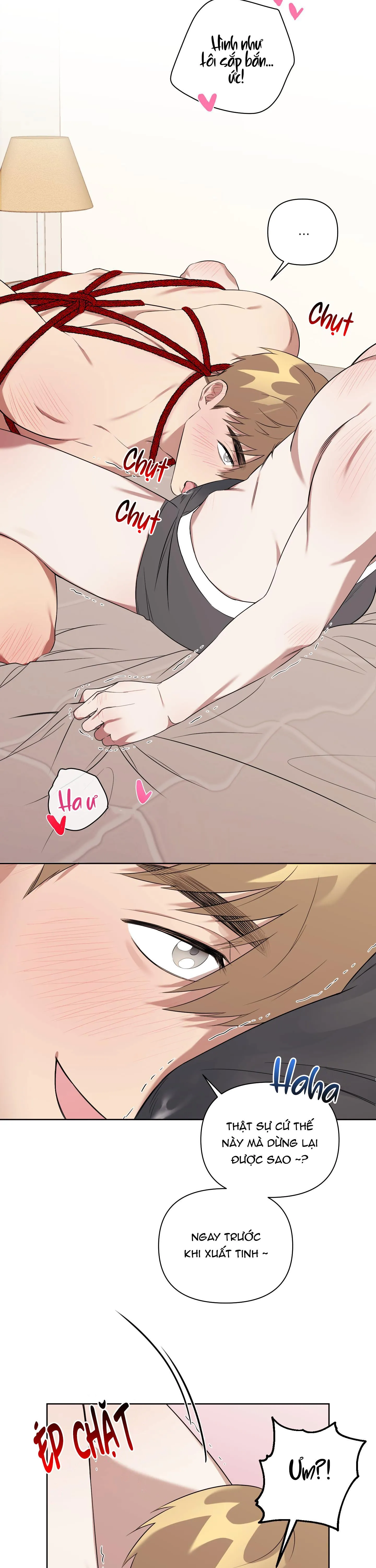 TRỢ GIẢNG ƠI, BỊ LỪA RỒI Chapter 5 Trang 4