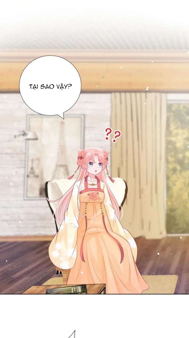 Trợ lí vàng và cô ca sĩ cấp thấp Chapter 4 Trang 11