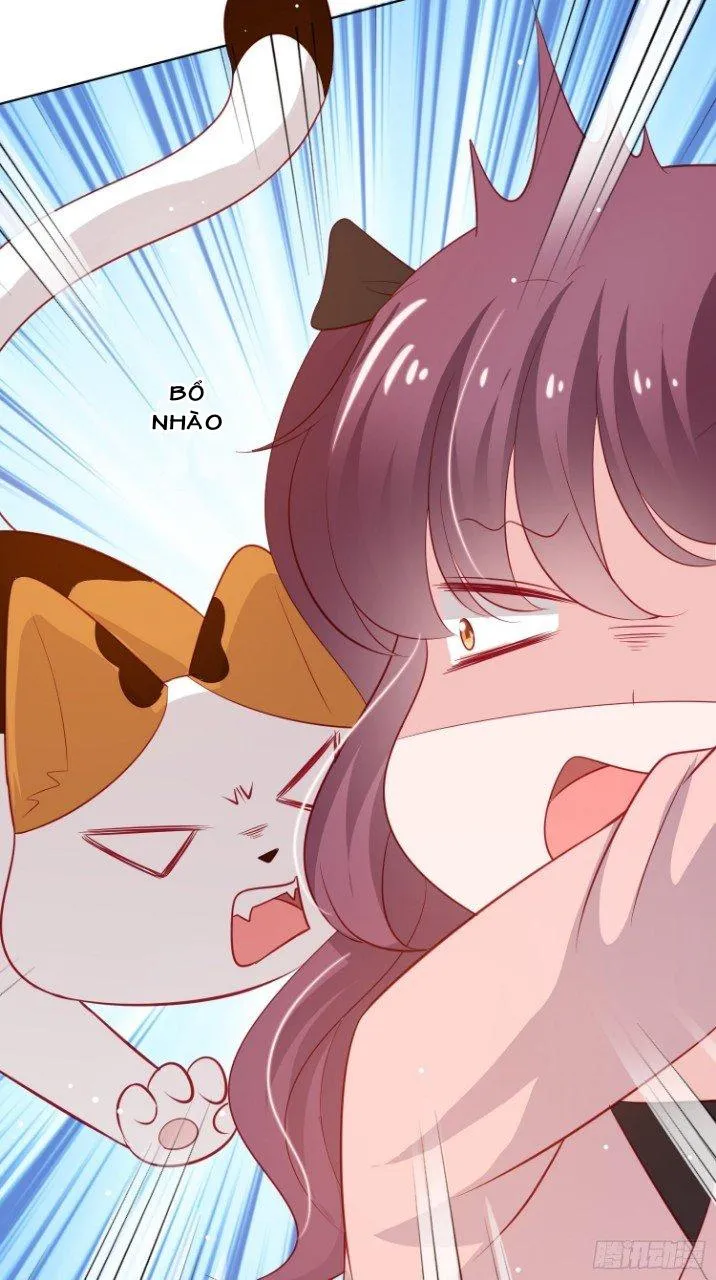 Trợ lí vàng và cô ca sĩ cấp thấp Chapter 9 Trang 31