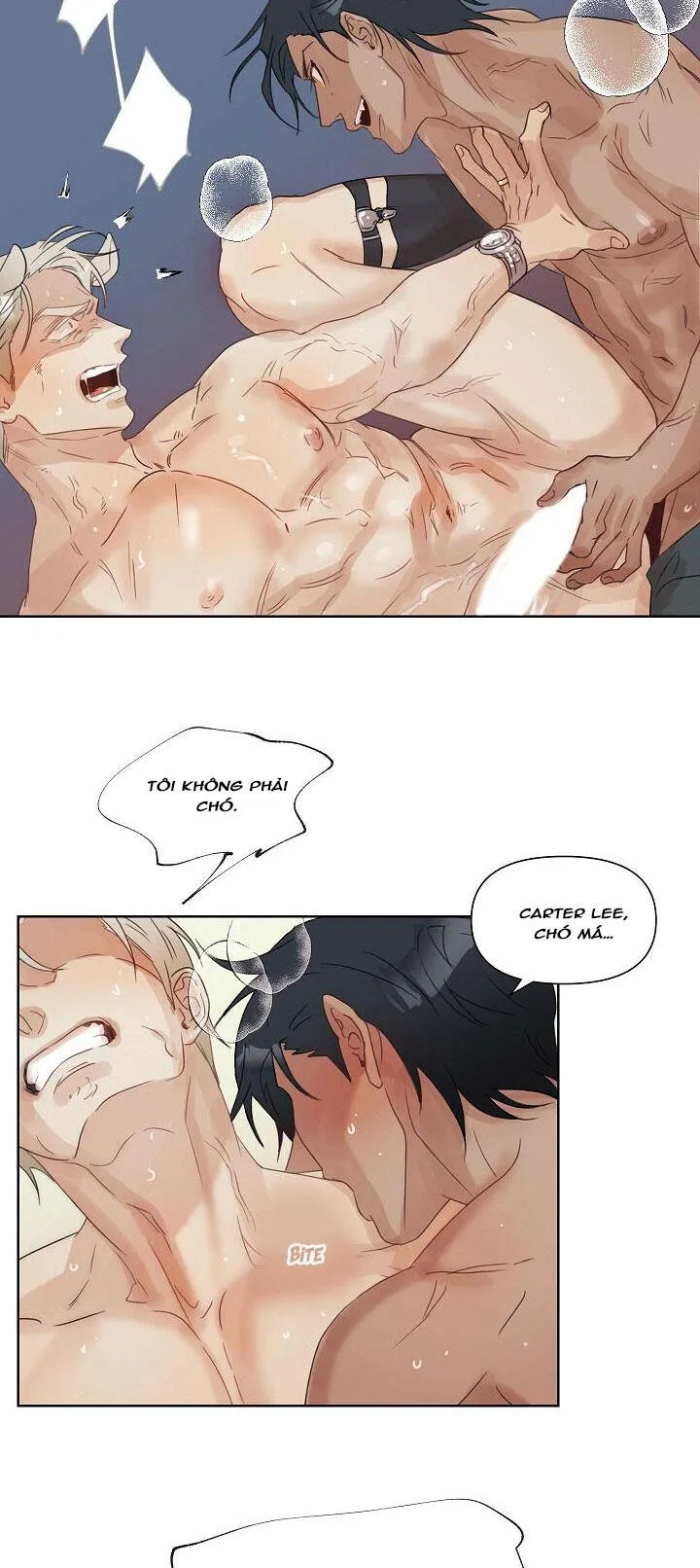 Trở Thành Chồng Em (NP) Chapter 2 Trang 16