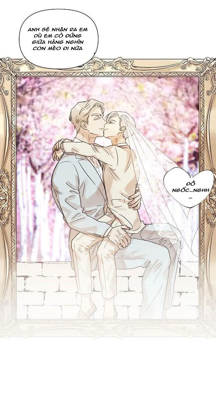 Trở Thành Chồng Em (NP) Chapter 1 Trang 30