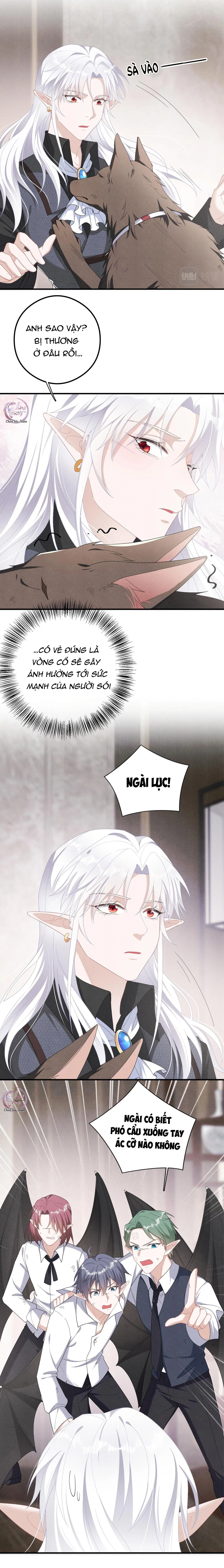 Trói Chặt Sói Của Tôi Chapter 19 Trang 9