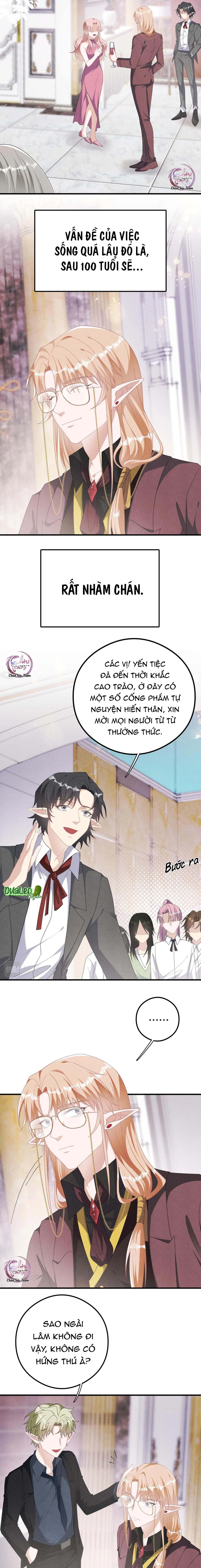 Trói Chặt Sói Của Tôi Chapter 23 Trang 3