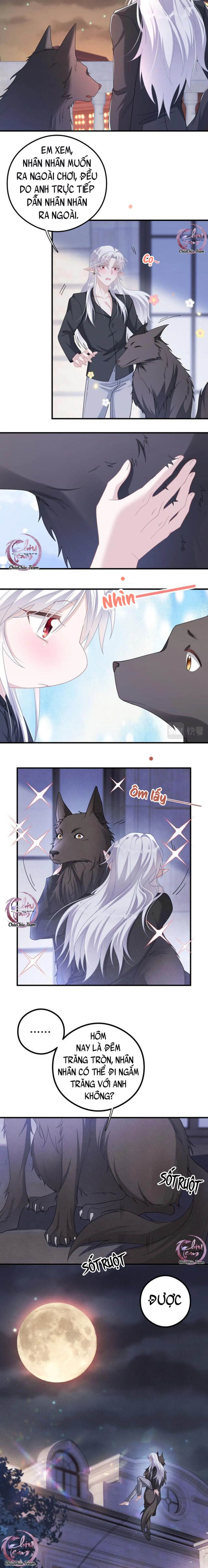Trói Chặt Sói Của Tôi Chapter 50 Trang 9