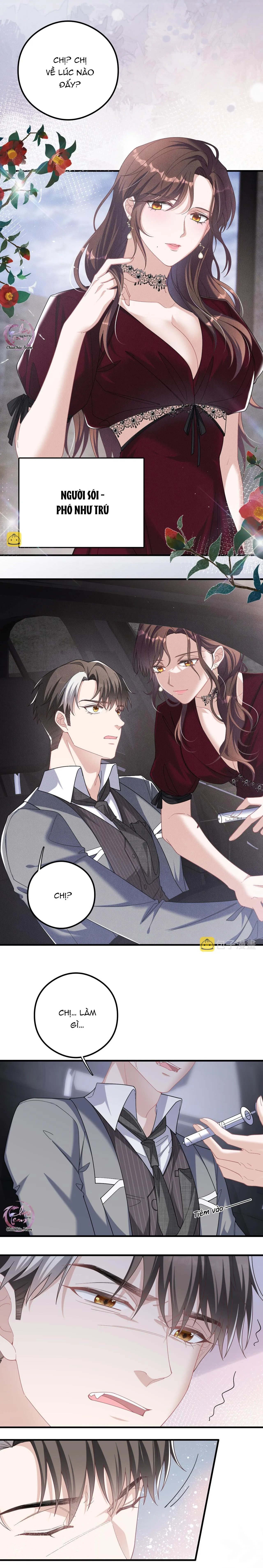 Trói Chặt Sói Của Tôi Chapter 52 Trang 11