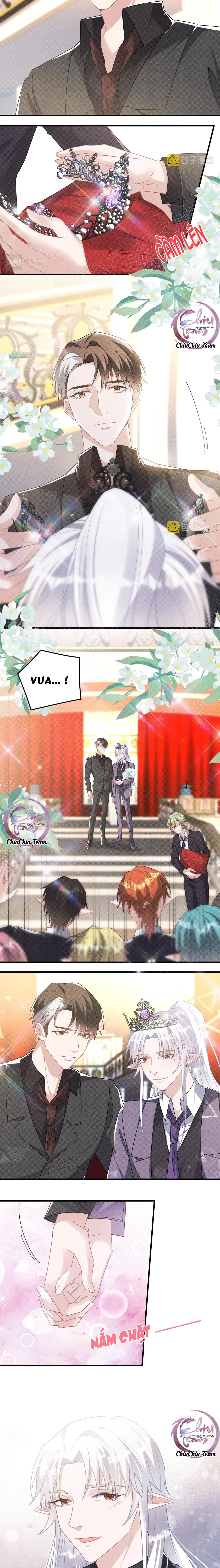 Trói Chặt Sói Của Tôi Chapter 74 Trang 3