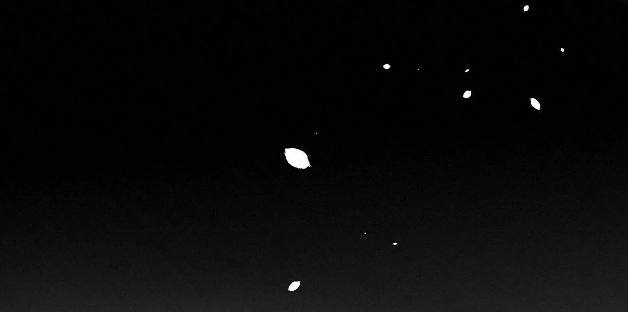 Trỗi Dậy Từ Tro Tàn Chapter 15 Trang 15