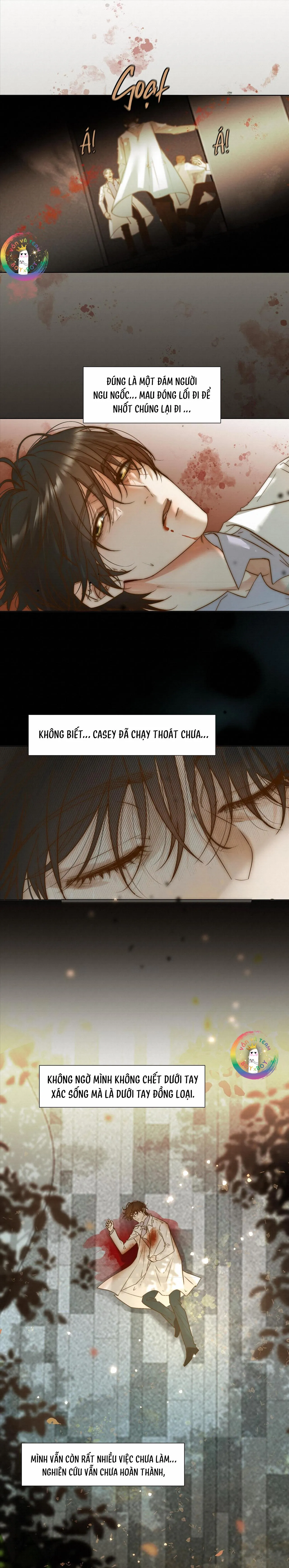 Trỗi Dậy Từ Tro Tàn Chapter 50 Trang 4