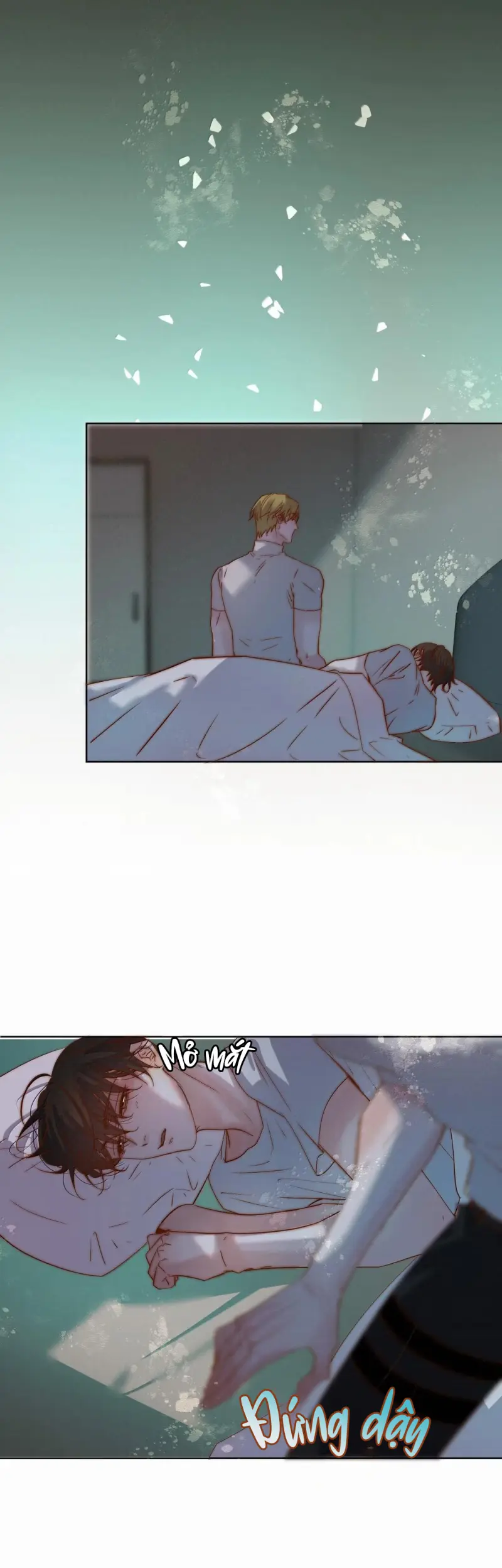 Trỗi Dậy Từ Tro Tàn Chapter 106 Trang 15