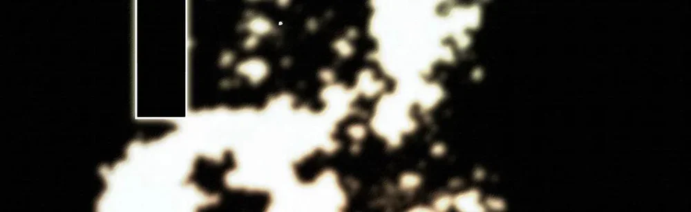 Trỗi Dậy Từ Tro Tàn Chapter 113 Trang 22