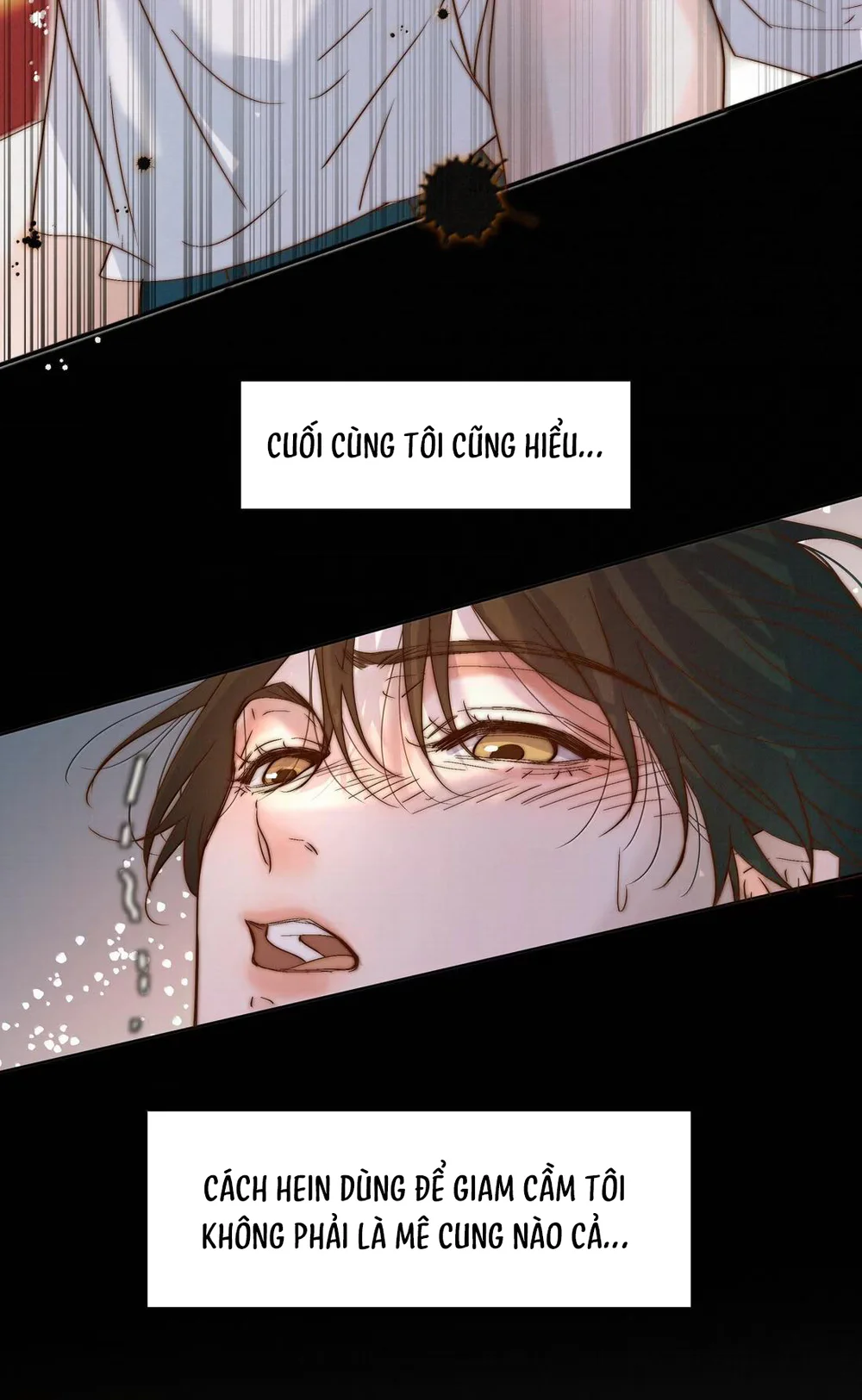 Trỗi Dậy Từ Tro Tàn Chapter 115 Trang 9