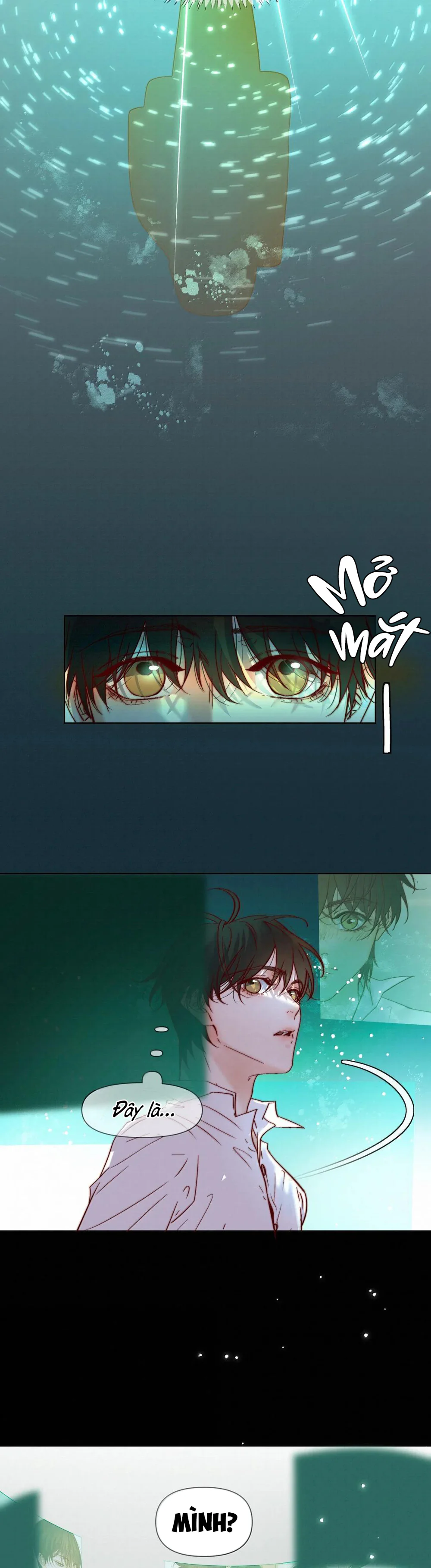 Trỗi Dậy Từ Tro Tàn Chapter 118 Trang 31