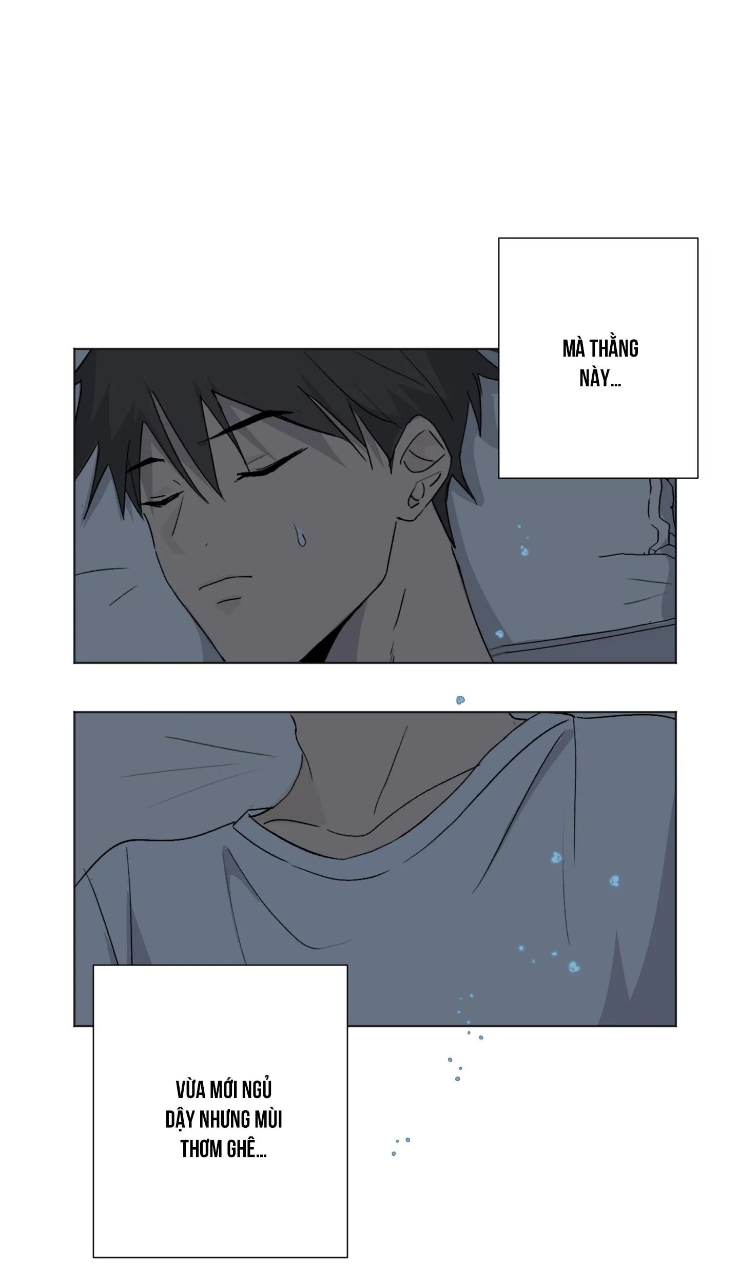 Trộm Môi Chapter 4 Trang 4