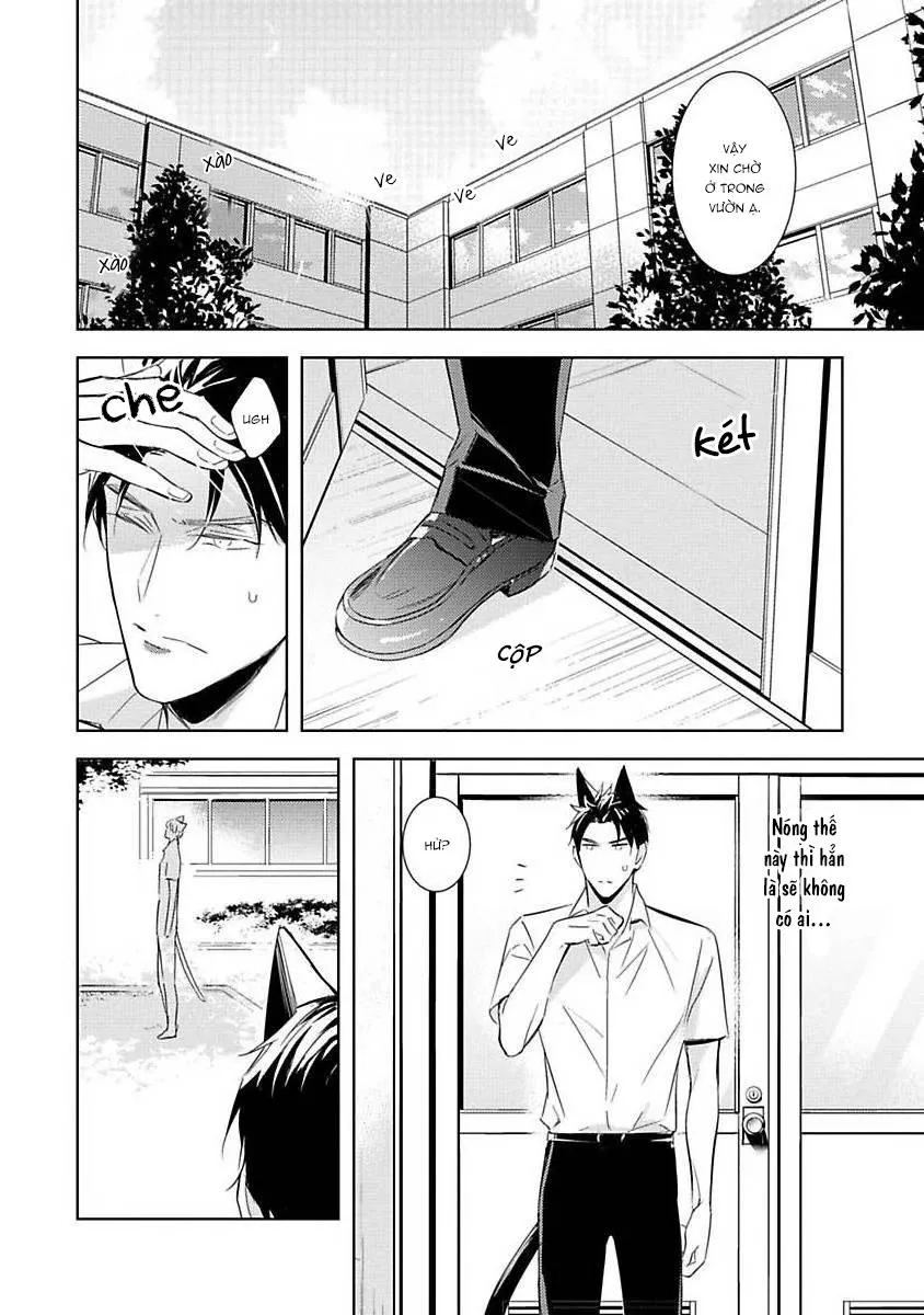 Trong Vòng Tay Anh Chapter 4 Trang 4