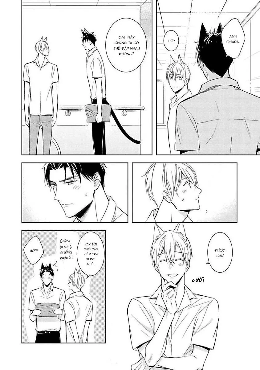 Trong Vòng Tay Anh Chapter 4 Trang 14