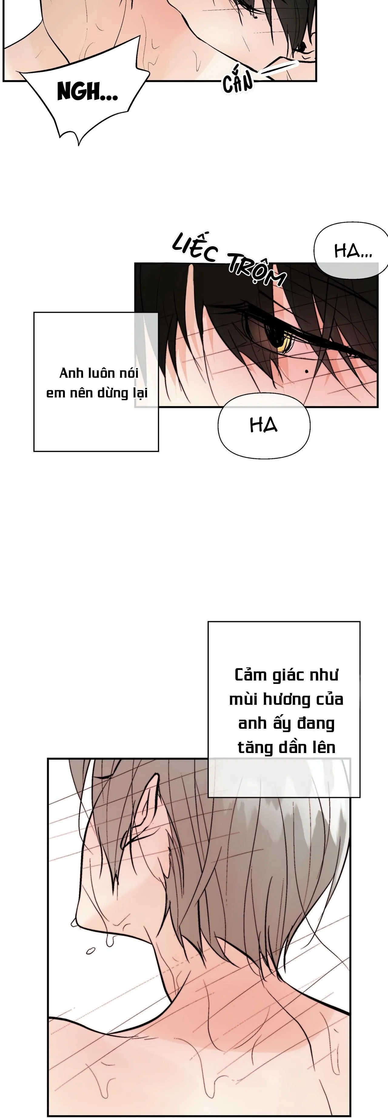 Trú Ẩn Chapter 16 Trang 6
