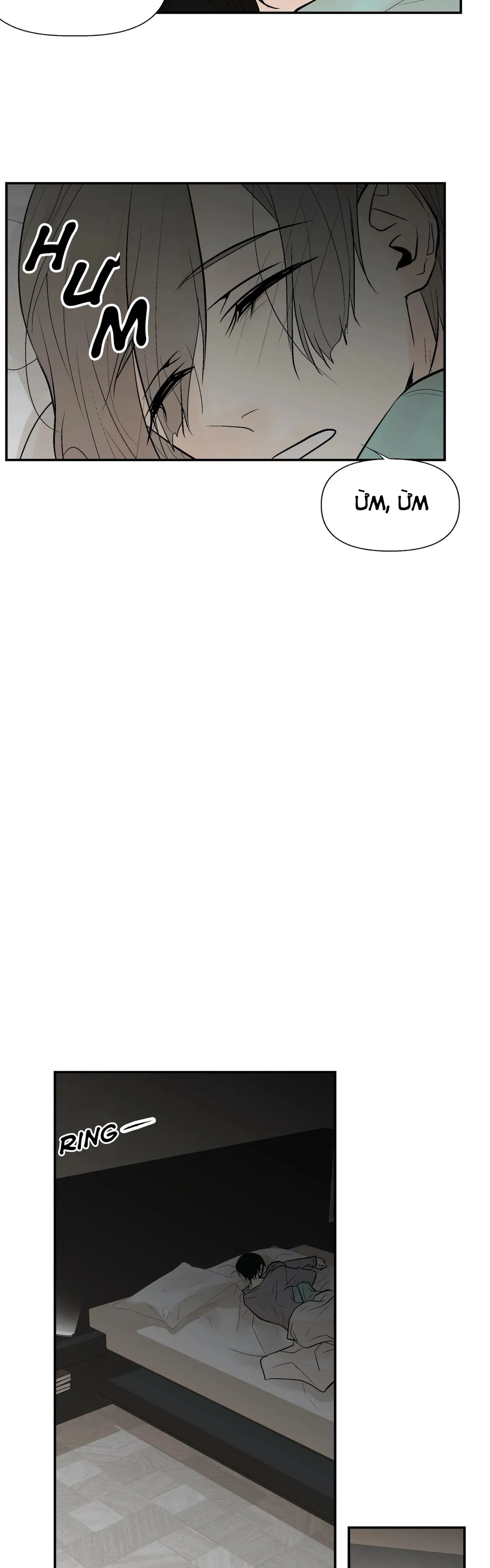 Trú Ẩn Chapter 28 Trang 14