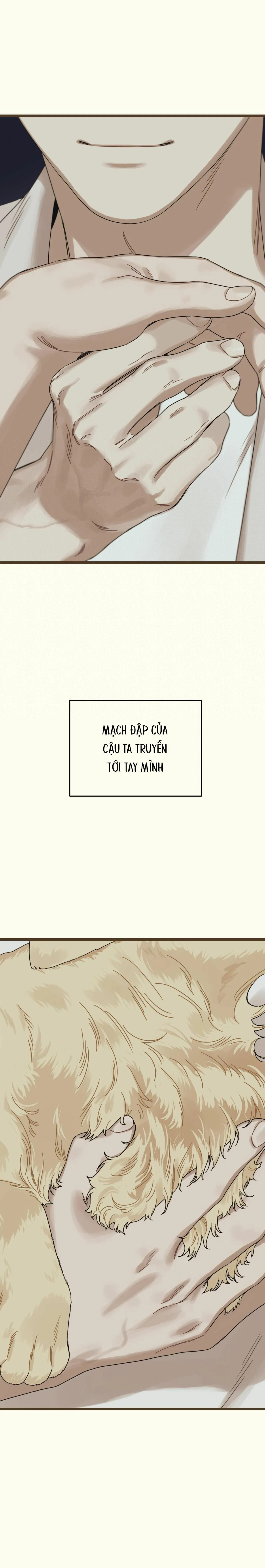 TRÙNG PHÙNG Chapter 18 Trang 38