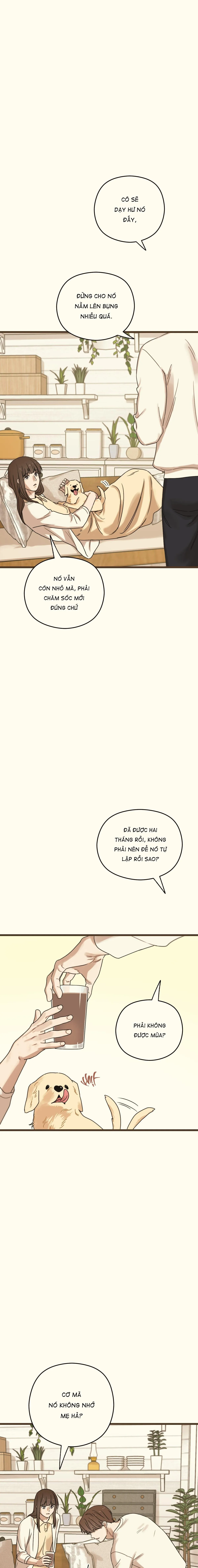 TRÙNG PHÙNG Chapter 27 Trang 6