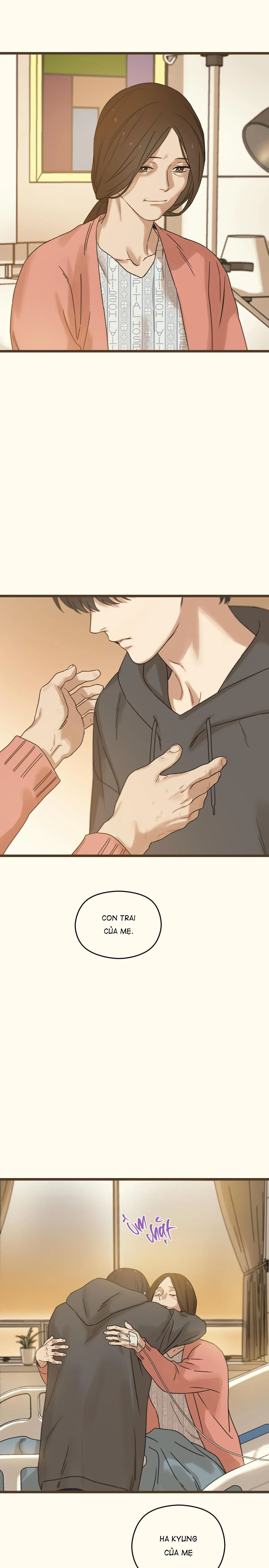 TRÙNG PHÙNG Chapter 29 Trang 19