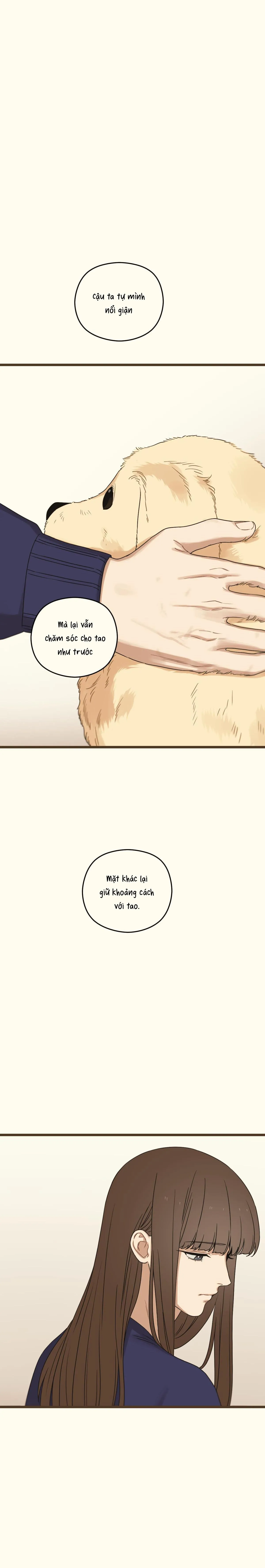 TRÙNG PHÙNG Chapter 38 Trang 8