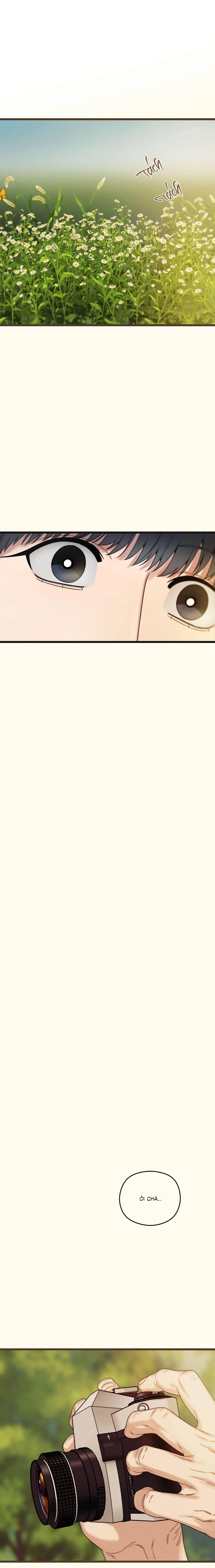 TRÙNG PHÙNG Chapter 41 Trang 33