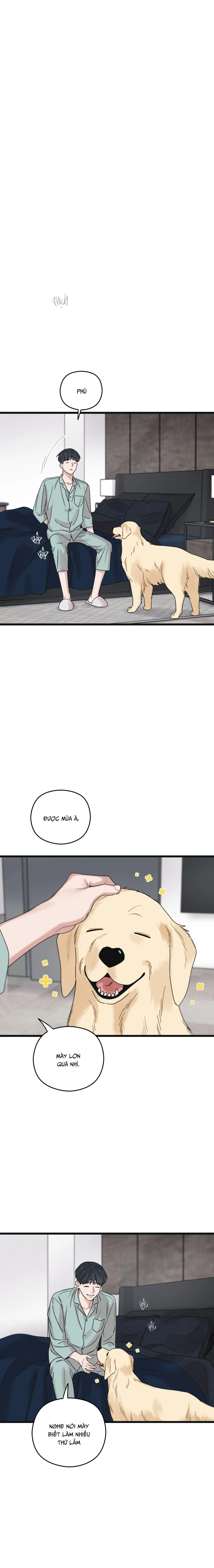 TRÙNG PHÙNG Chapter 53 Trang 14