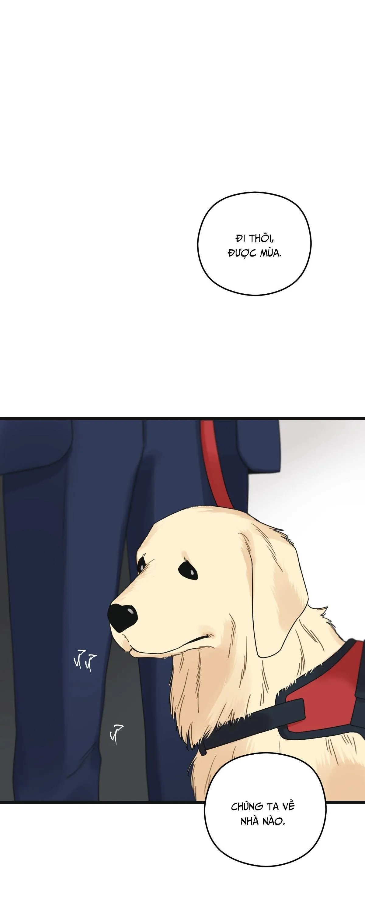 TRÙNG PHÙNG Chapter 54 Trang 55