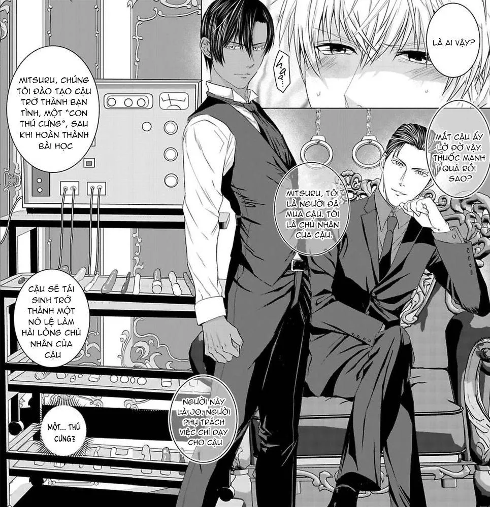 Trúng thầu nô lệ máu M 275 triệu yên Chapter 1 Trang 8