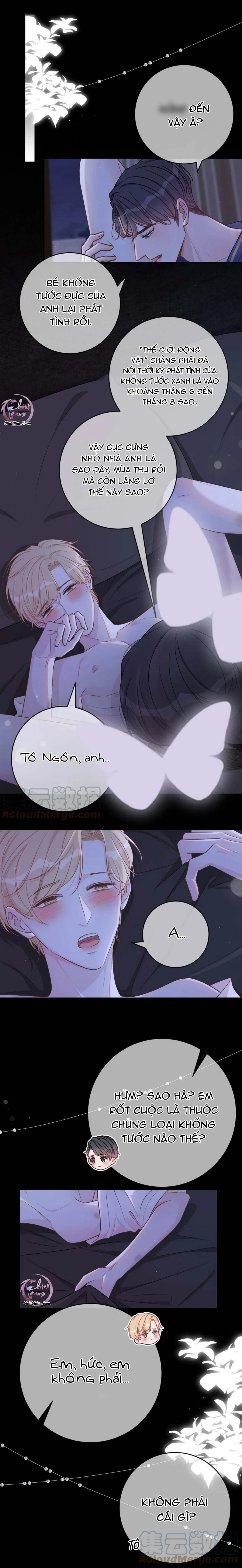 Trước Và Sau Chia Tay (END) Chapter 52 Trang 5